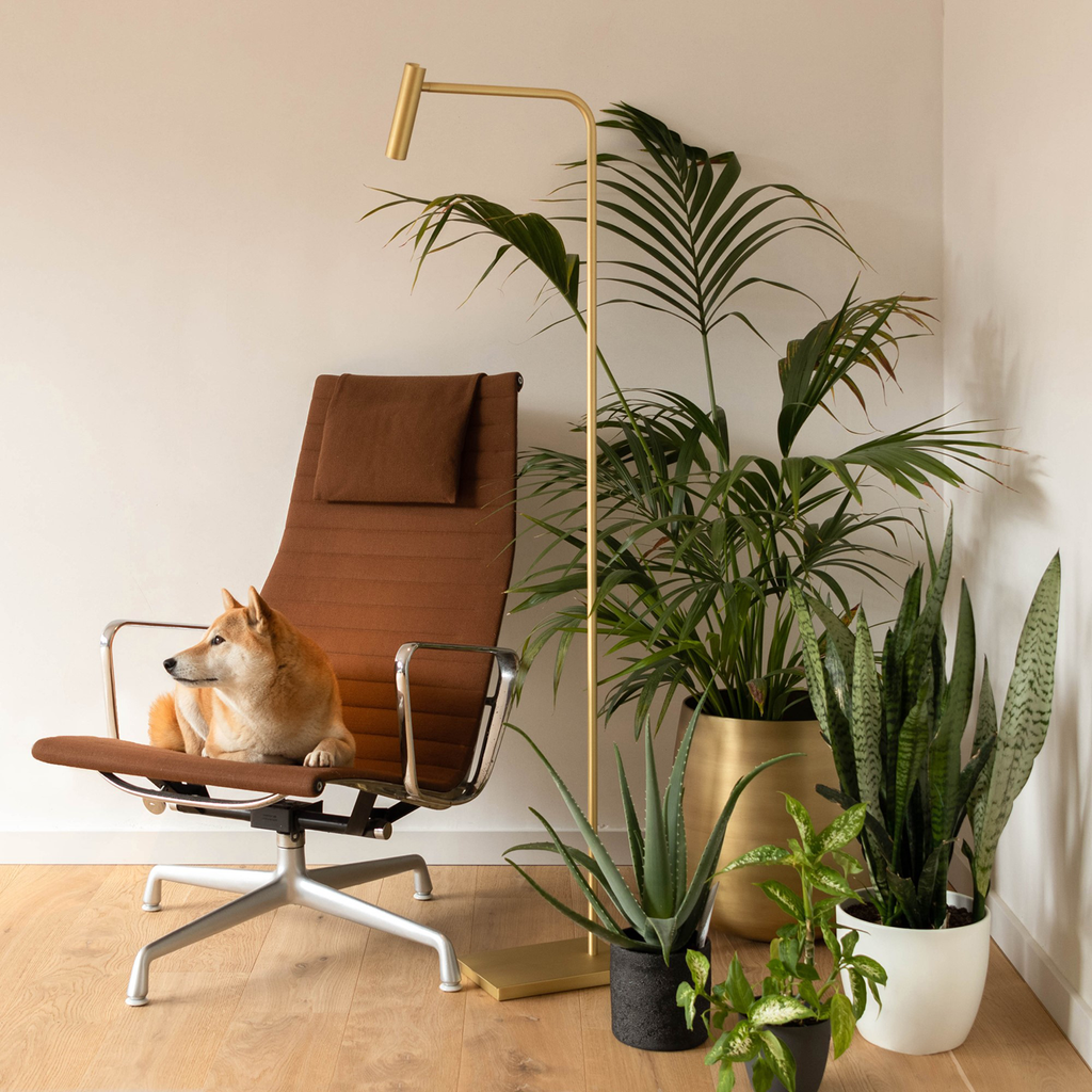 Pomery | Lampadaire En Laiton Antique Au Charme Intemporel | Valuna