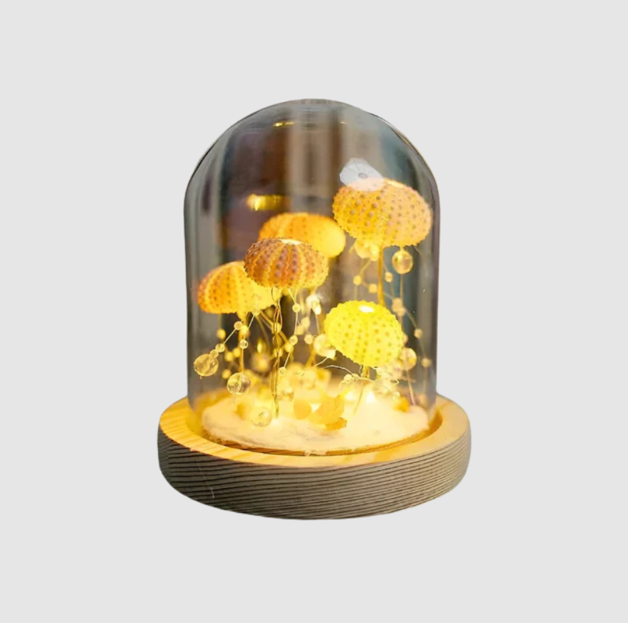 CoastalGlow DIY Hérisson de Mer | Lampe de Nuit | Valuna