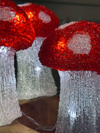 MushroomSet5 | Ensemble de 5 Lampes Champignon – Éclairage Intérieur et Extérieur | Valuna