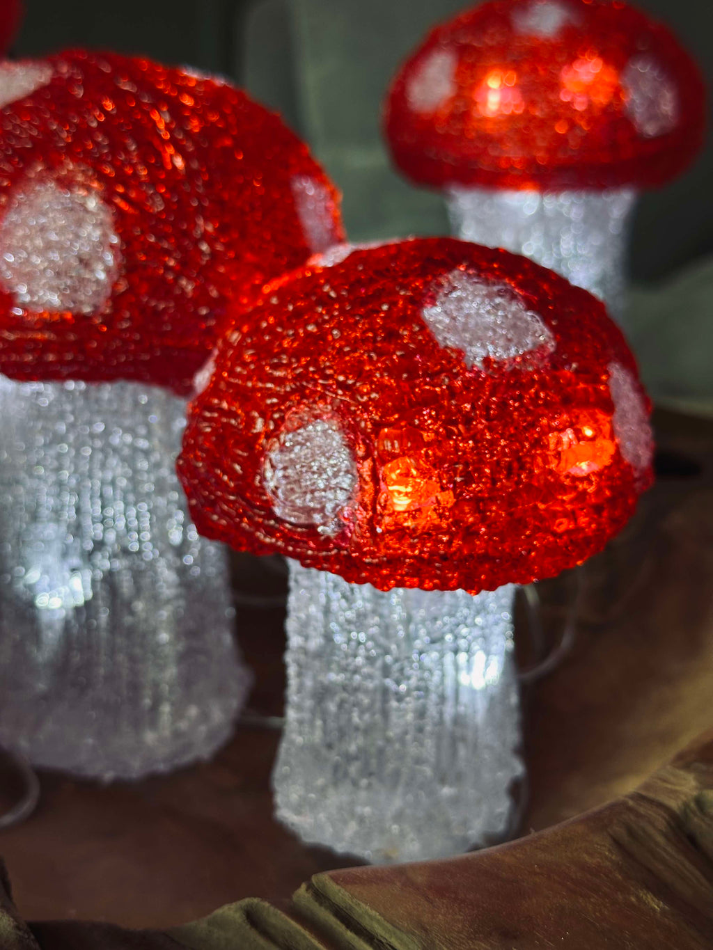 MushroomSet5 | Ensemble de 5 Lampes Champignon – Éclairage Intérieur et Extérieur | Valuna