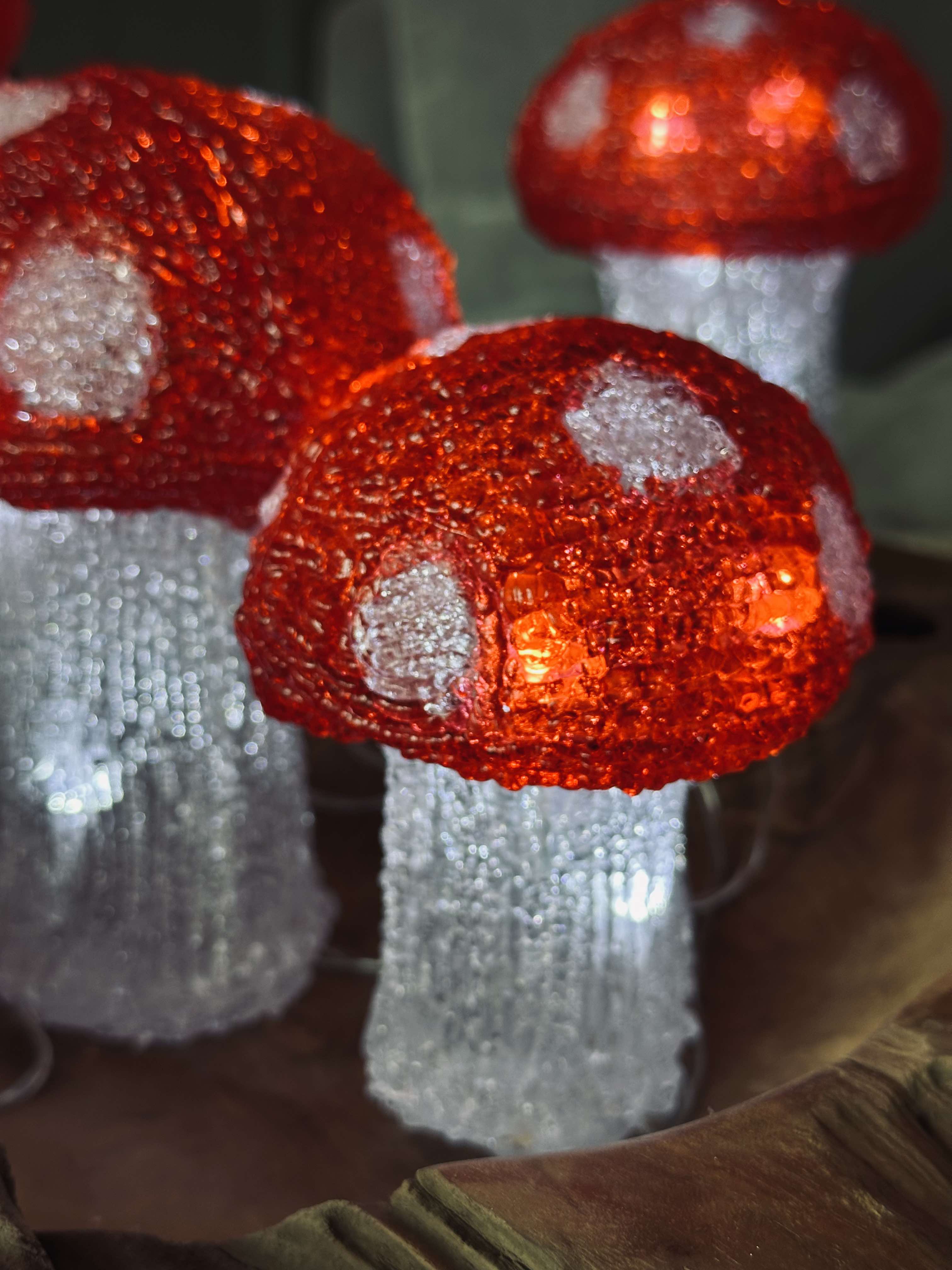 MushroomSet5 | Ensemble de 5 Lampes Champignon – Éclairage Intérieur et Extérieur | Valuna