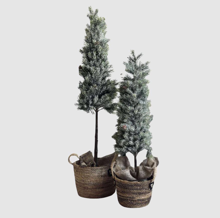 Pinetree MIX | 106 cm | Valuna