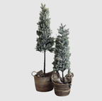 Pinetree MIX | 106 cm | Valuna