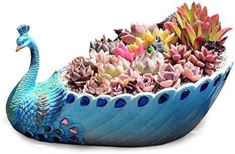 Peacock Bloom | Pot De Fleurs Artistique Et Élégant Pour Jardin Et Salon | Valuna