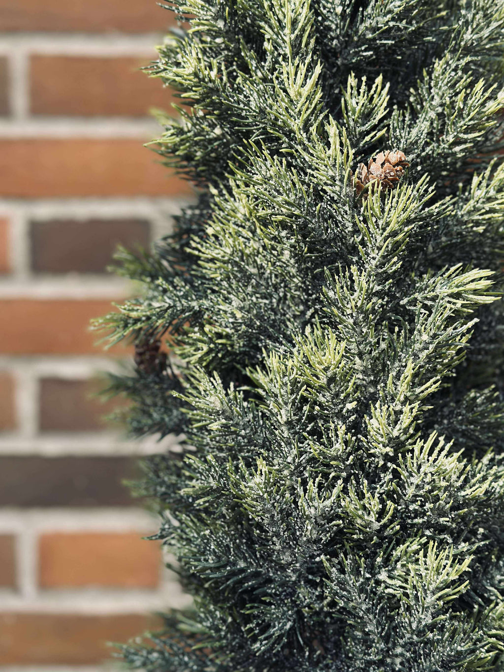 Pinetree Mix | Décoration Naturelle Inspirée Des Forêts | Valuna