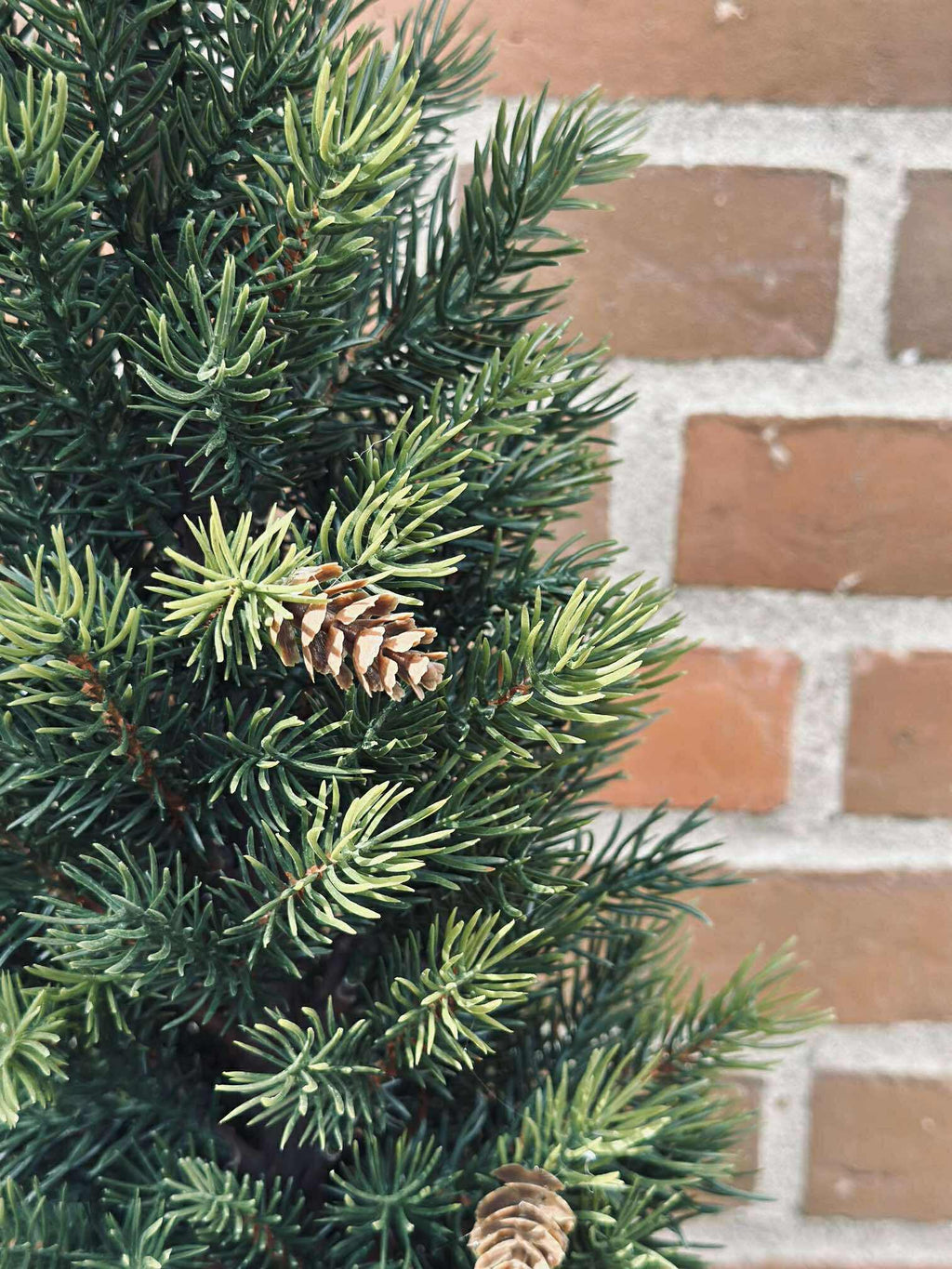 Pinetree MIX | 106 cm | Valuna