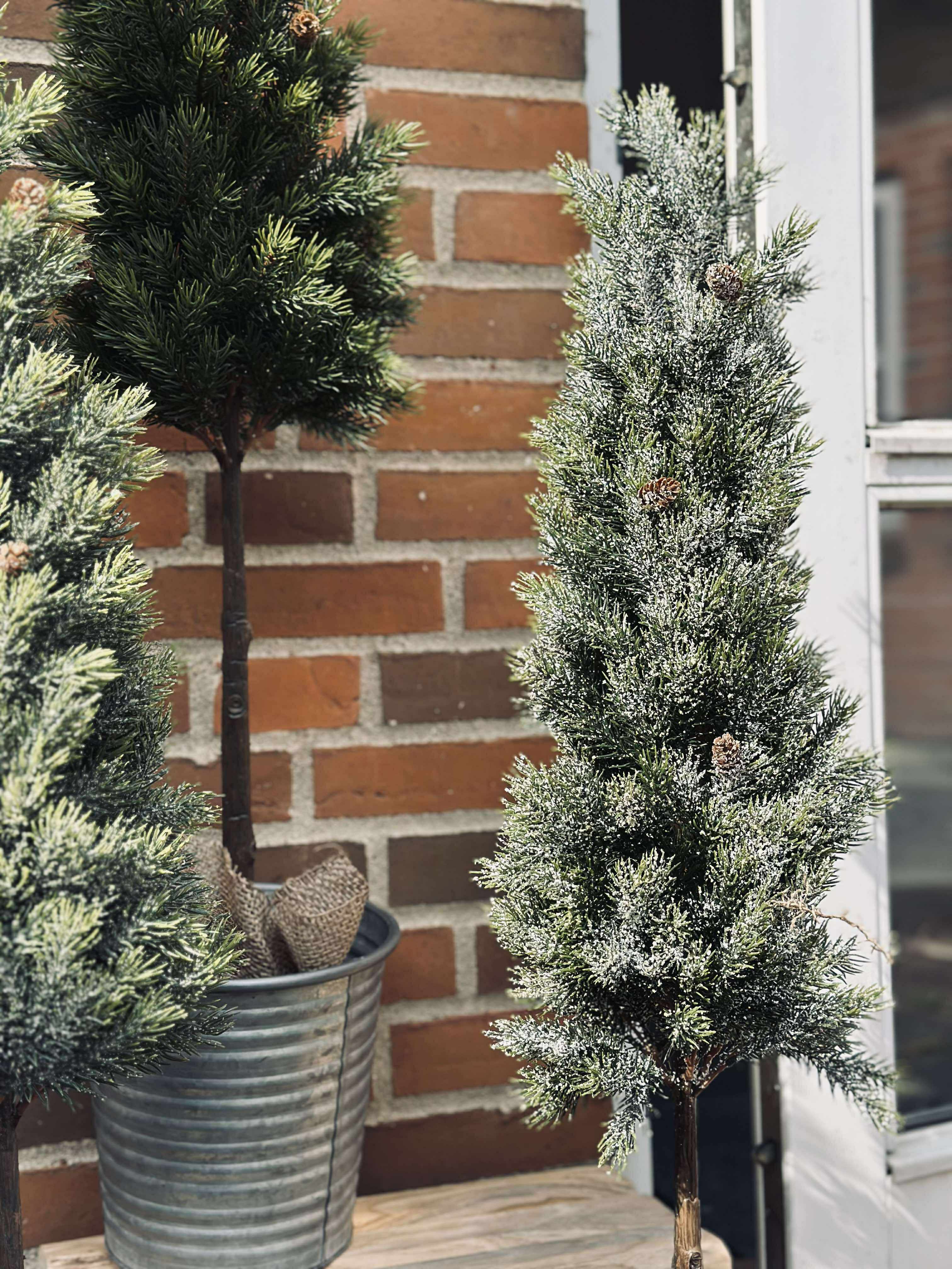 Pinetree Mix | Décoration Naturelle Inspirée Des Forêts | Valuna