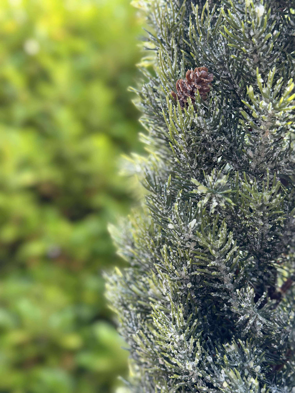 Pinetree MIX | 106 cm | Valuna