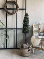 Pinetree Mix | Décoration Naturelle Inspirée Des Forêts | Valuna