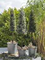 Pinetree Mix | Décoration Naturelle Inspirée Des Forêts | Valuna