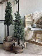 Pinetree Mix | Décoration Naturelle Inspirée Des Forêts | Valuna