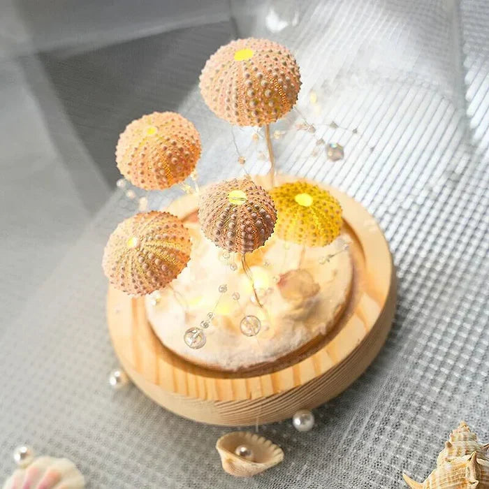 CoastalGlow DIY Hérisson de Mer | Lampe de Nuit | Valuna