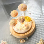 CoastalGlow DIY Hérisson de Mer | Lampe de Nuit | Valuna