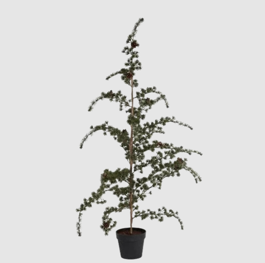 Cèdre | Vert 115 cm | Valuna