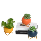 DecoVase | Pots de Fleurs Décoratifs Artistiques – Élégance et Style Pour Maison et Jardin | Valuna