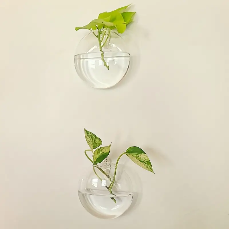 AquaPod | Forme Oblate Verre Plantes Murales | Valuna