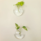 AquaPod | Forme Oblate Verre Plantes Murales | Valuna