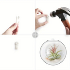 AquaPod | Forme Oblate Verre Plantes Murales | Valuna
