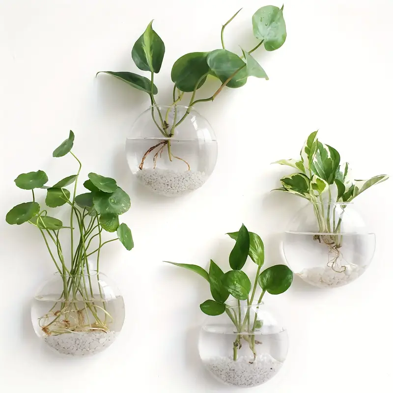 AquaPod | Forme Oblate Verre Plantes Murales | Valuna
