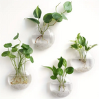 AquaPod | Forme Oblate Verre Plantes Murales | Valuna