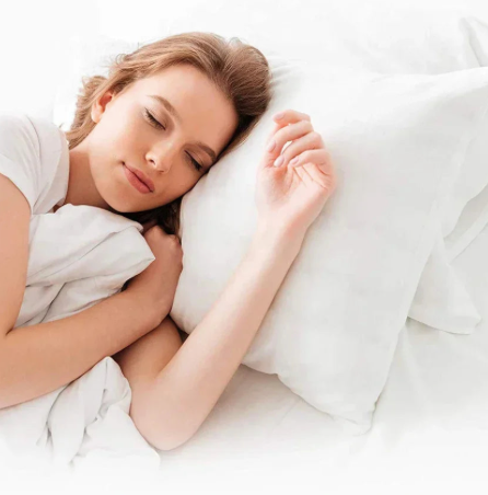 Lot De 2 Taies D’Oreiller Imperméables Avec Fermeture Éclair | Valuna