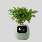 Pot De Fleurs Intelligent Avec Système D'Arrosage Automatique Et Application Mobile - Valuna