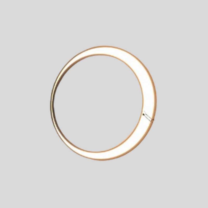 Lampe Murale Extérieure LED IP65 En Acier Inoxydable Et PC - Valuna