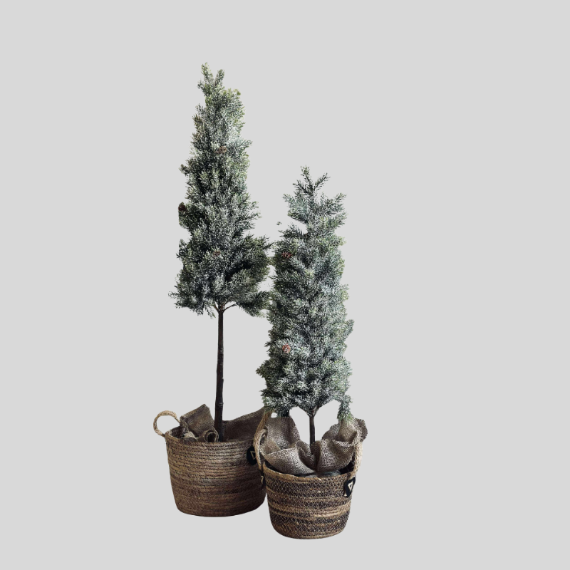 Pinetree Mix | Décoration Naturelle Inspirée Des Forêts | Valuna