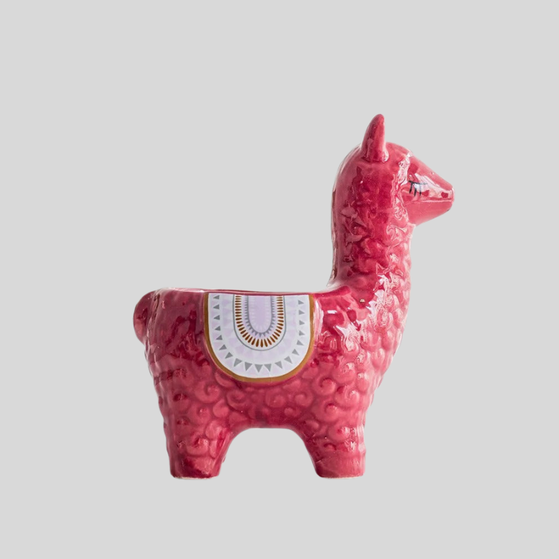 Pot De Plante | Céramique En Forme D’Animal Pour Décoration | Valuna