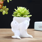 Dolphin Pot | Pot De Fleurs En Céramique Original Pour Plantes | Valuna
