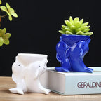 Dolphin Pot | Pot De Fleurs En Céramique Original Pour Plantes | Valuna