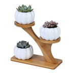 Pumpkin Stand | Support De Plante En Céramique En Forme De Citrouille | Valuna