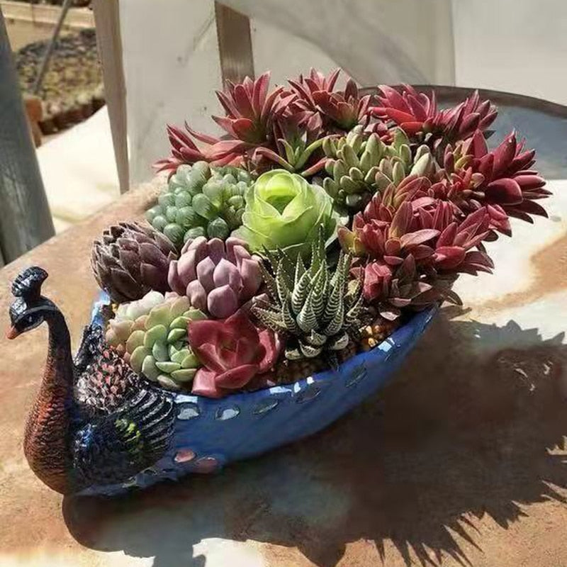 Peacock Bloom | Pot De Fleurs Artistique Et Élégant Pour Jardin Et Salon | Valuna