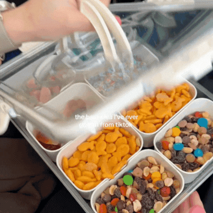 PicnicBox | Contenant à Collations Élégant – Parfait Pour Pique-Niques et Sorties | Valuna