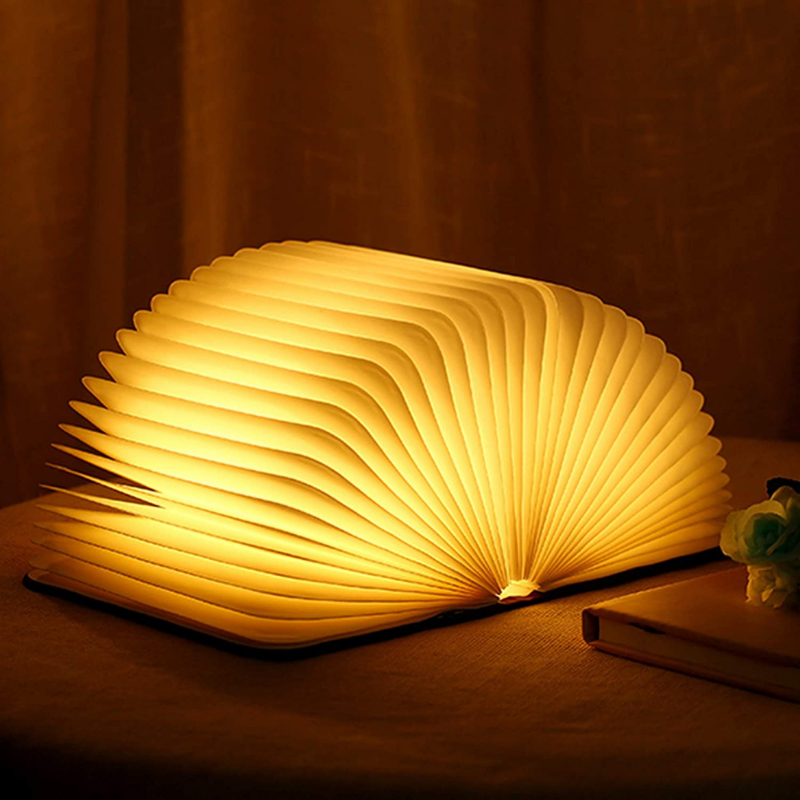 Lampe | Livre Enchanté | Valuna