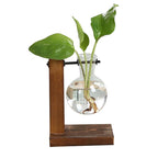 Vintaria | Terrarium En Verre Vintage, Élégance Créative | Valuna