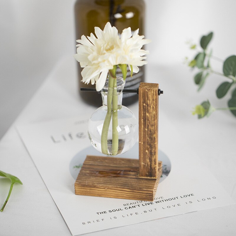 Vintaria | Terrarium En Verre Vintage, Élégance Créative | Valuna