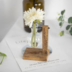 Vintaria | Terrarium En Verre Vintage, Élégance Créative | Valuna