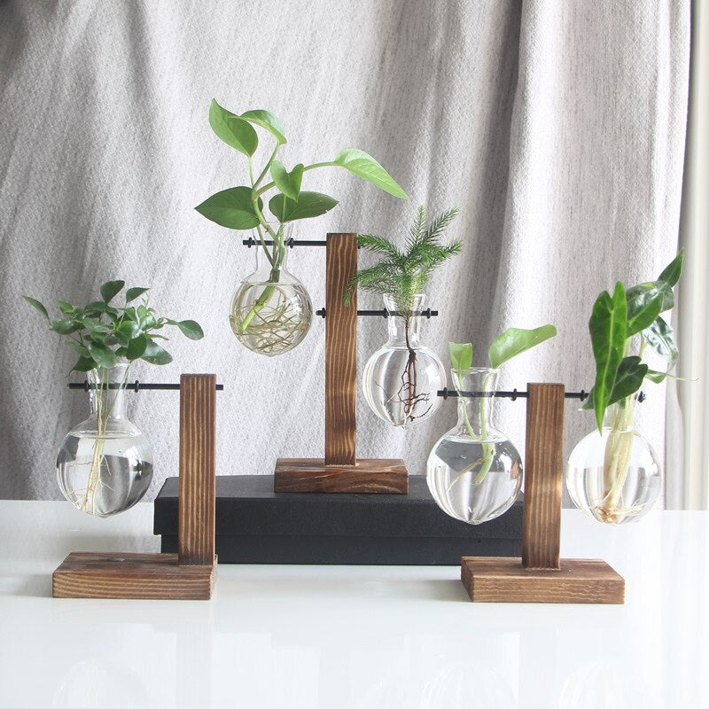 Vintaria | Terrarium En Verre Vintage, Élégance Créative | Valuna