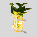 LumiVase | Applique Murale En Bois Led Pour Éclairage Extérieur Et Décoration Florale | Valuna