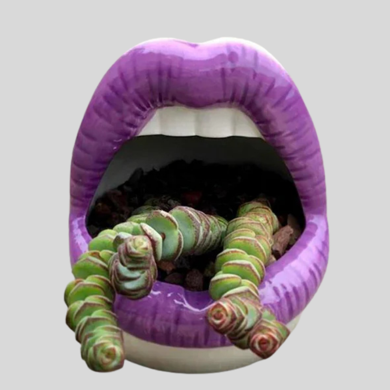LipsPlanter | Pot De Plante Unique En Forme De Lèvres – Déco Moderne | Valuna