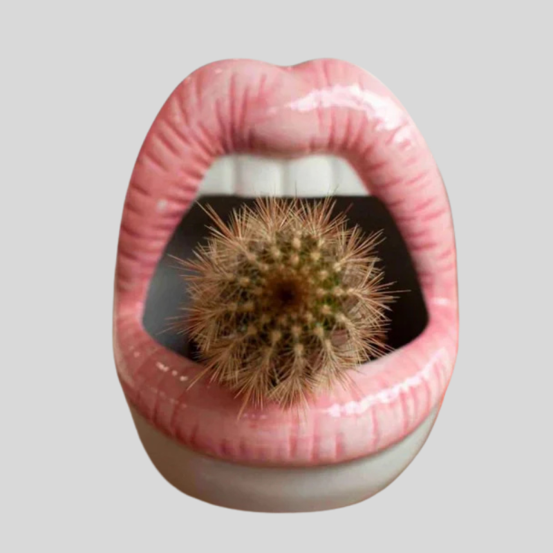 LipsPlanter | Pot De Plante Unique En Forme De Lèvres – Déco Moderne | Valuna