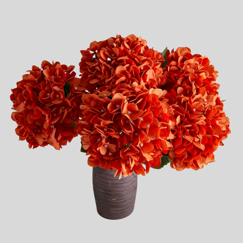Ensemble Fleurs d’Hortensias d’Automne | Pour Décoration Intérieure | Valuna