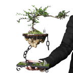 EarthZen – Pot De Bonsaï Avec Suspension En Chaîne | Décoration Suspendue Élégante Pour La Maison Et Le Jardin | Valuna