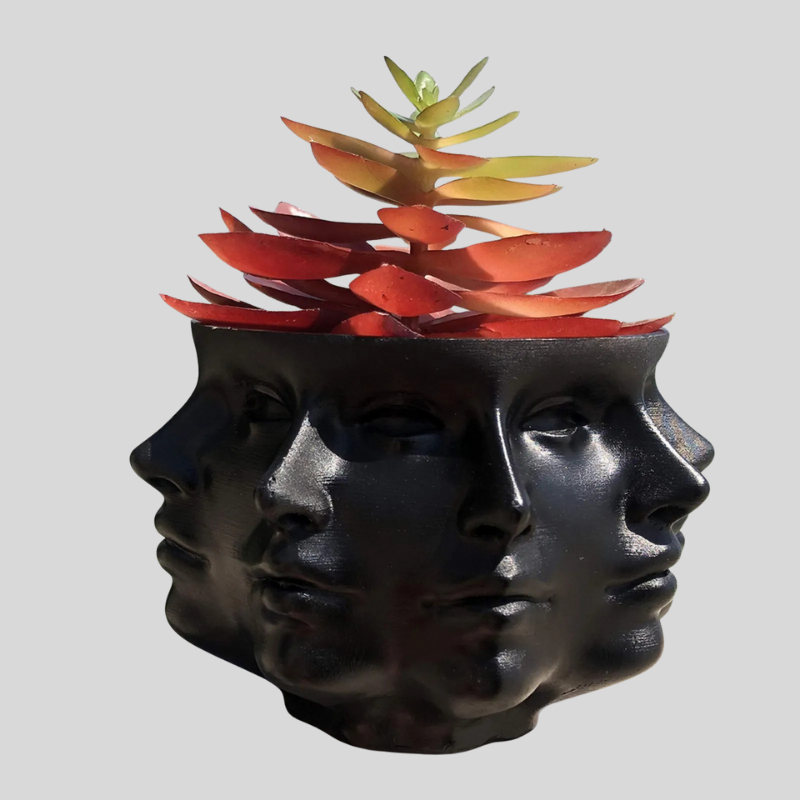 Facet Succulent | Vase À Succulentes À Plusieurs Faces Pour Intérieur | Valuna