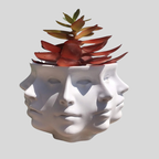 Facet Succulent | Vase À Succulentes À Plusieurs Faces Pour Intérieur | Valuna