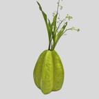 Starbelle | Vase À Fleurs En Céramique En Forme De Carambole | Valuna