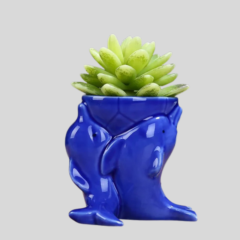 Dolphin Pot | Pot De Fleurs En Céramique Original Pour Plantes | Valuna