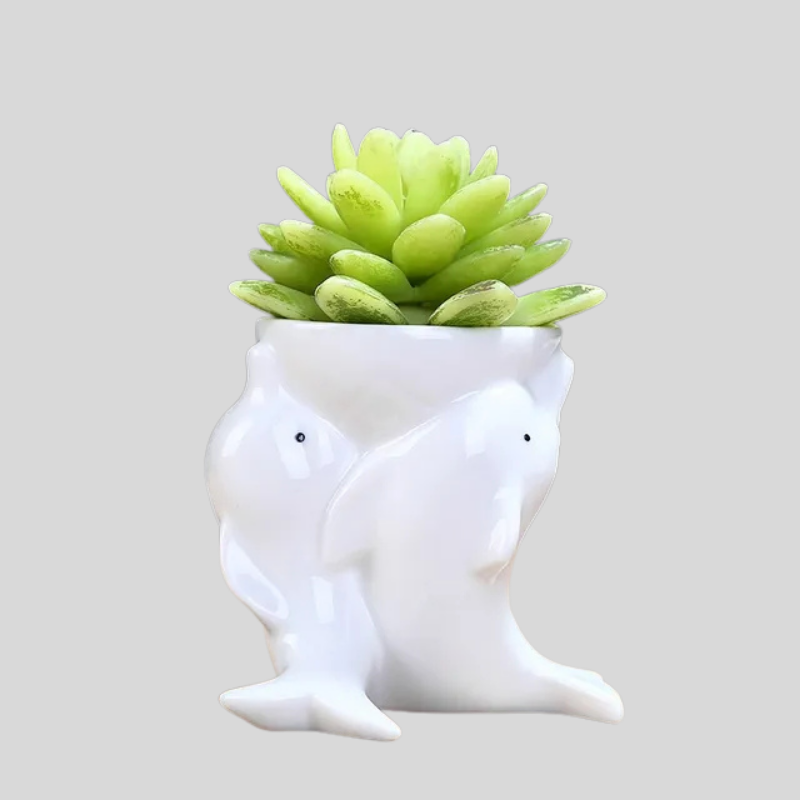 Dolphin Pot | Pot De Fleurs En Céramique Original Pour Plantes | Valuna