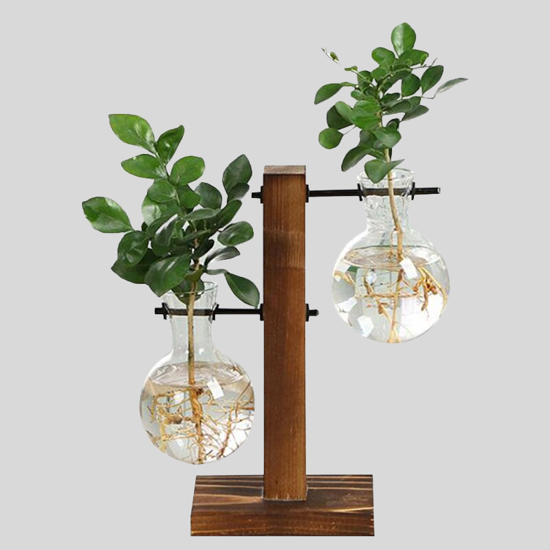 Vintaria | Terrarium En Verre Vintage, Élégance Créative | Valuna